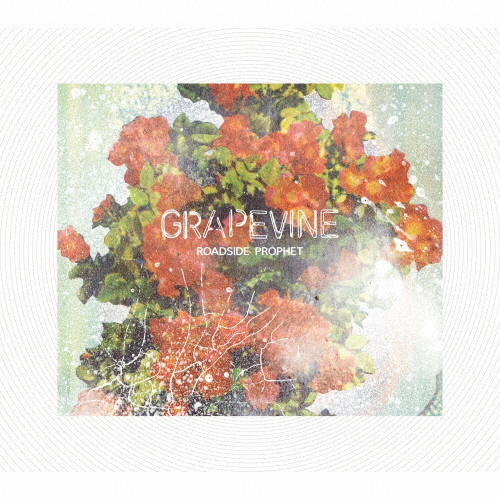 ROADSIDE PROPHET | 初回限定20th Anniversary Limited Edition盤
