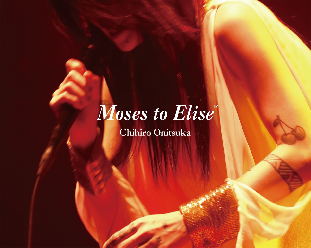 鬼束ちひろMoses to Elise Blu-ray鬼束ちひろ Moses to Elise ライブBD 