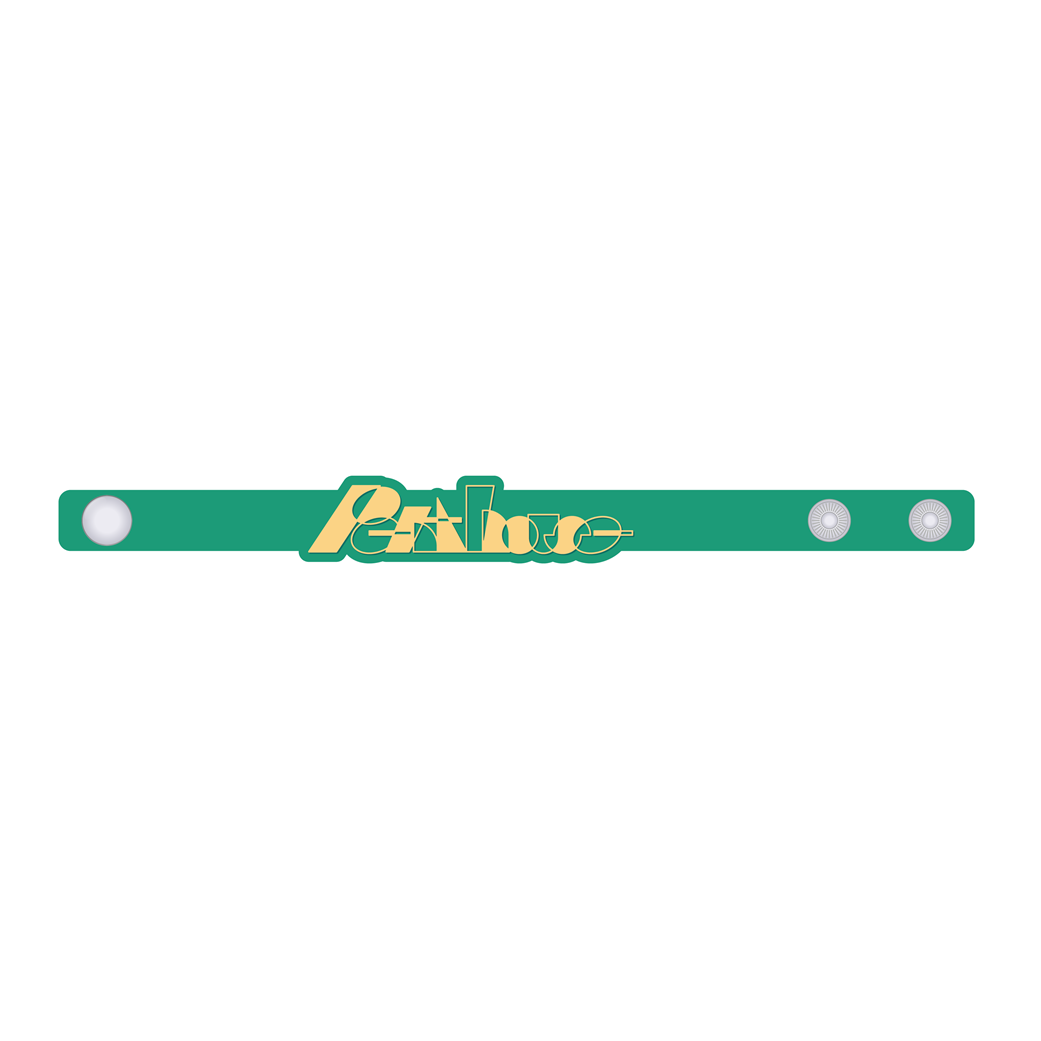 ロゴブレスレット 2026 green (Pentclub限定カラー) | VICTOR ONLINE STORE