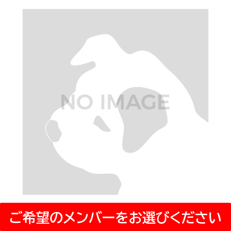 タイトル未定 | 初回生産限定 「山中柔太朗」盤 | CD | VICTOR ONLINE